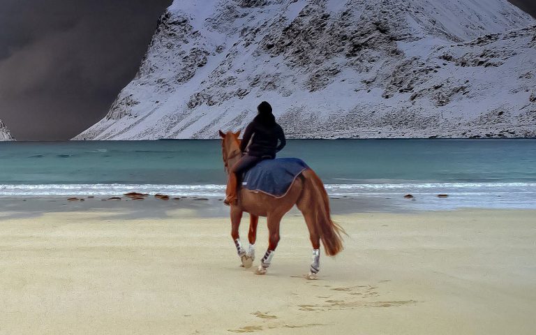 JR Travels & Adventure - Actitvites - Horse Ridding #1