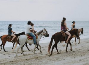 JR Travels & Adventure - Actitvites - Horse Ridding #3