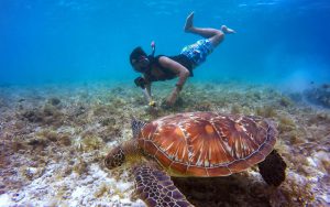 JR Travels & Adventure - Activities - Snorkelling #1